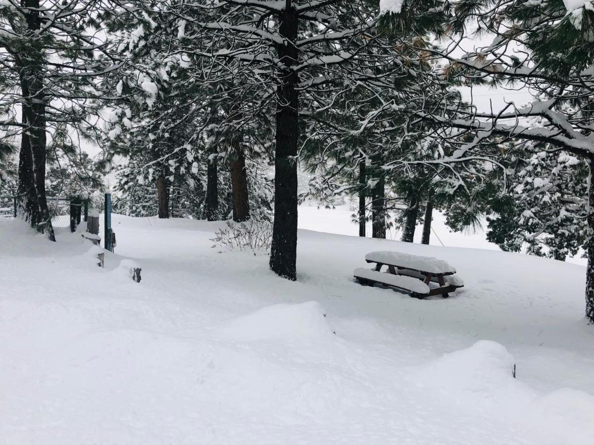 Mountain View Cabins Wrightwood Esterno foto